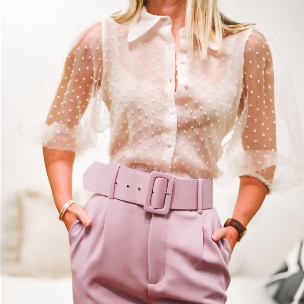 Zara organza sleeves top, bloggers favorite - Picture 14 of 16